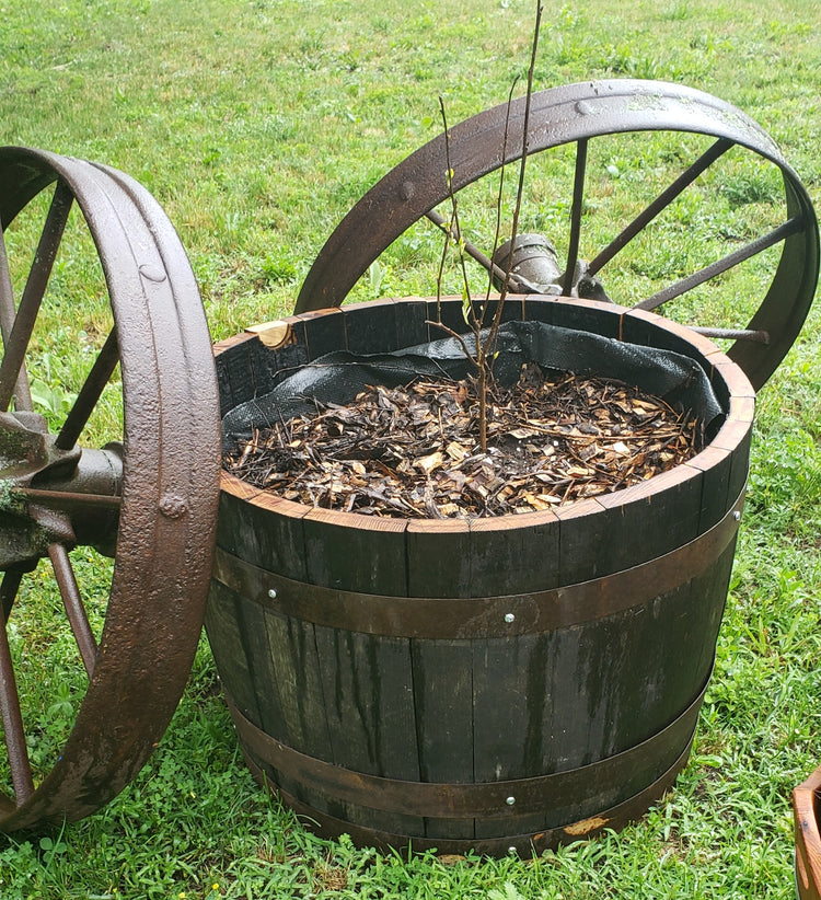 For the Bees