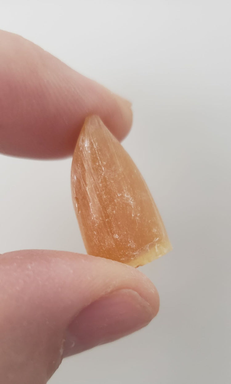 PROPOLIS