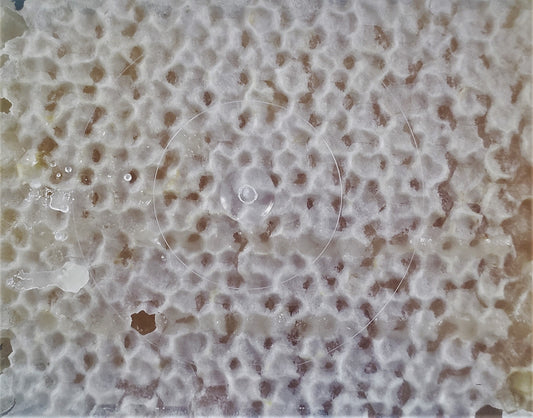 RAW HONEY COMB