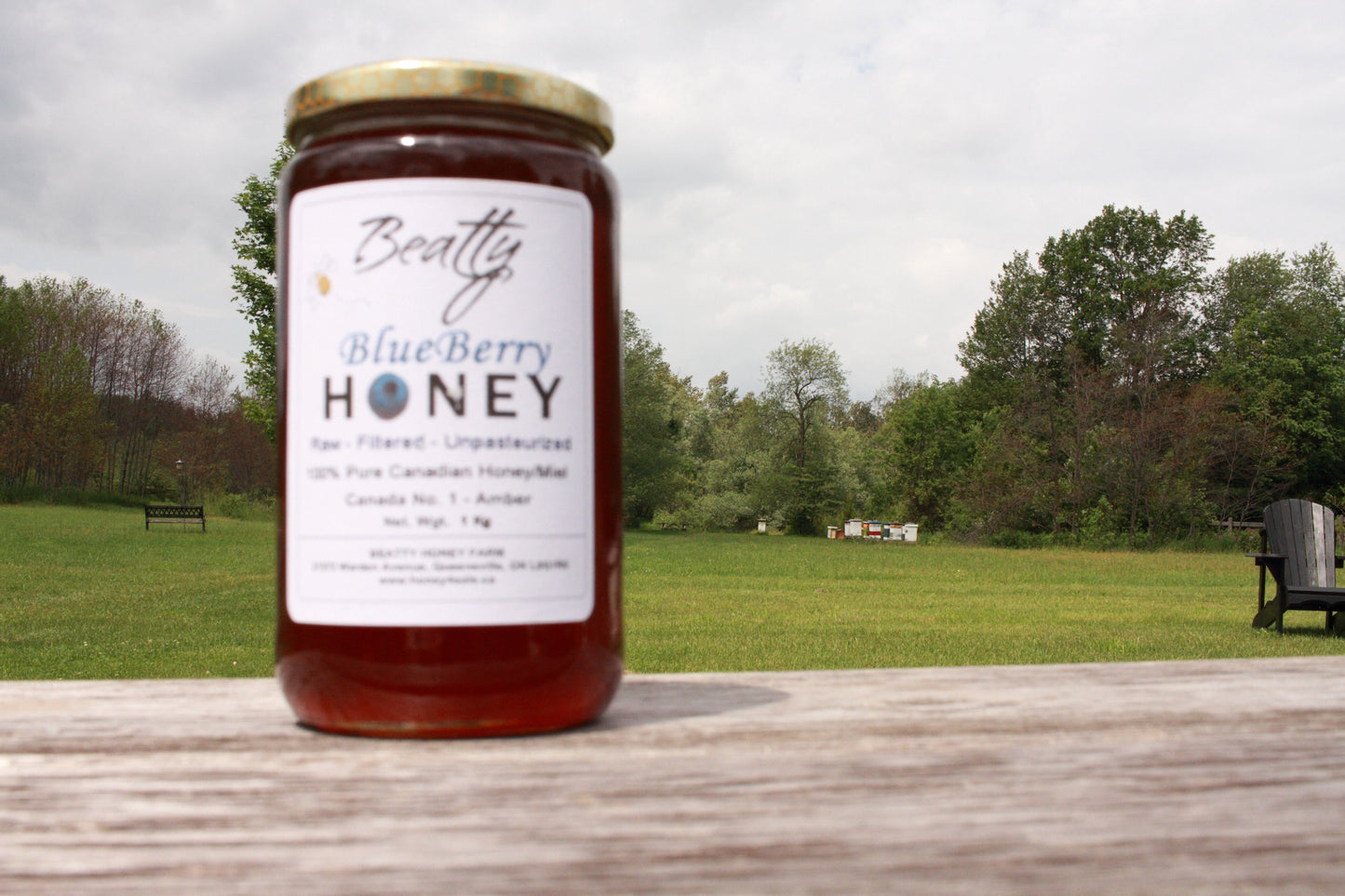 NOVA SCOTIA BLUEBERRY HONEY
