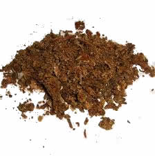 PROPOLIS TEA