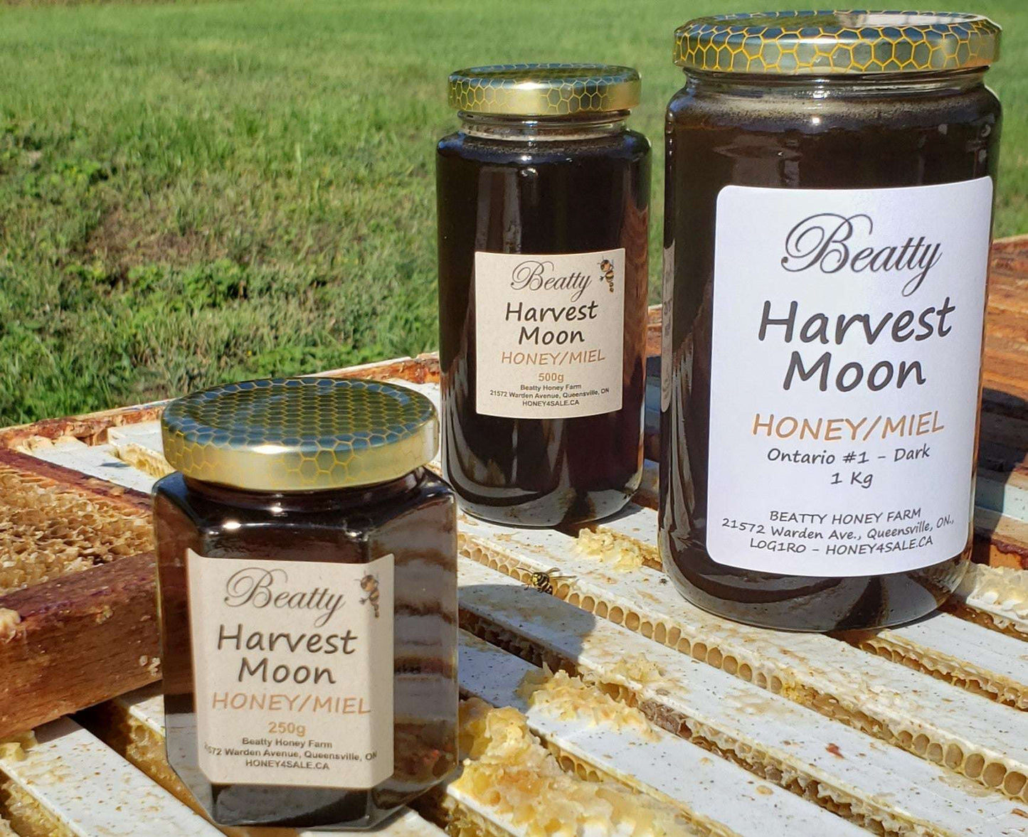 Harvest Moon Honey
